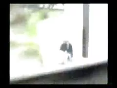 جوجه سیاه عکس سکسی کوس باز خروس می خورد