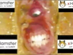 لذت سوپرسکسی متحرک شکاف صورتی مناقصه