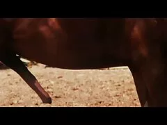 مرد همسر دوست سخت خود را لگد عکس سکسی اب اور می زند و اسپرم را در چهره خود قرار می دهد